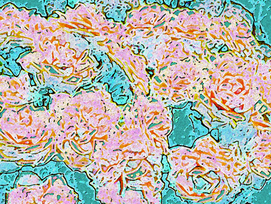 RoseSplash_W RoseSplash_W