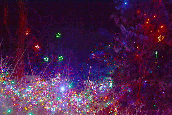 Zoolights2A_W Zoolights2A_W