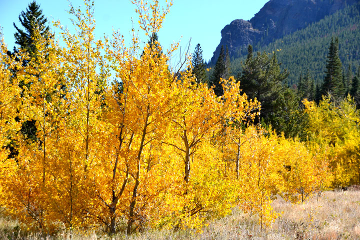 6213736418_60a30cc39c_o 6213736418_60a30cc39c_o