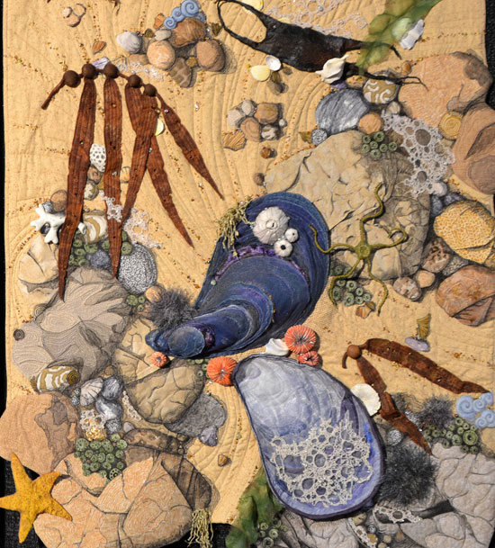 HollyAltmanTidalPool_W HollyAltmanTidalPool_W