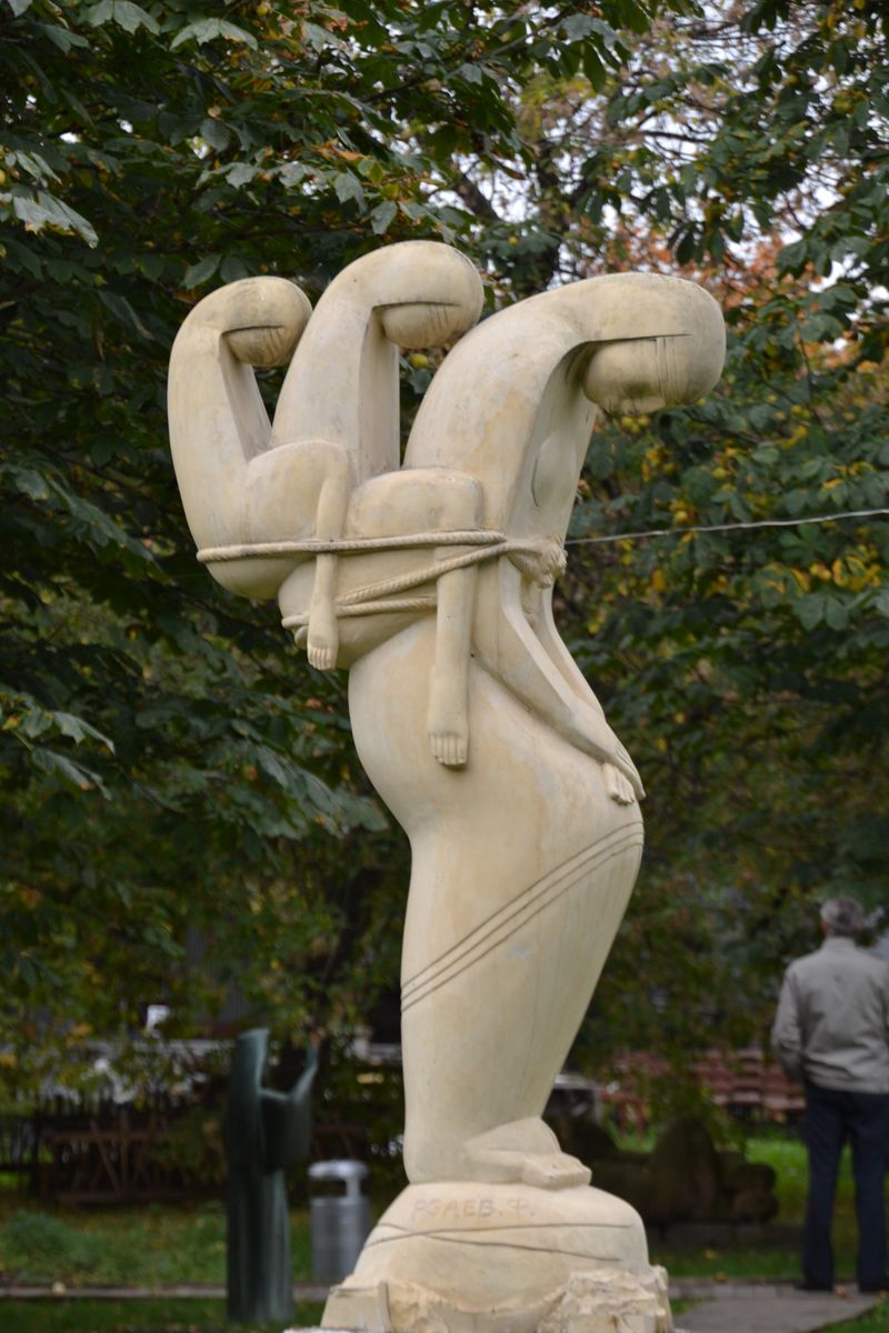 DSC_5990