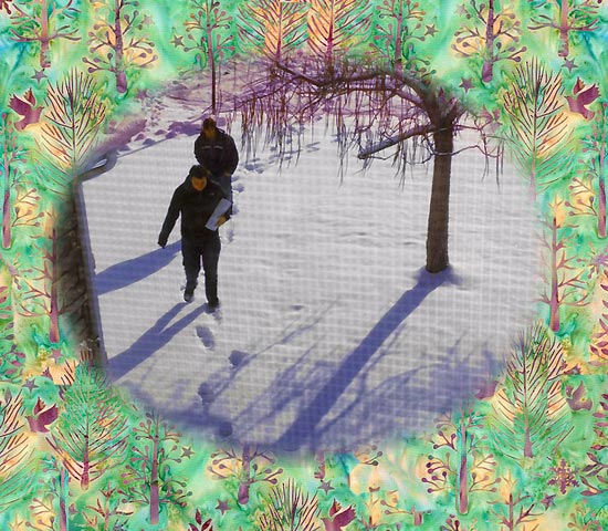 Snow Snow