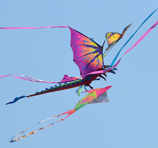 DragonKite1_550 DragonKite1_550