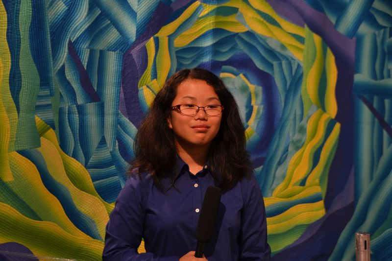 DSC_0826 DSC_0826
