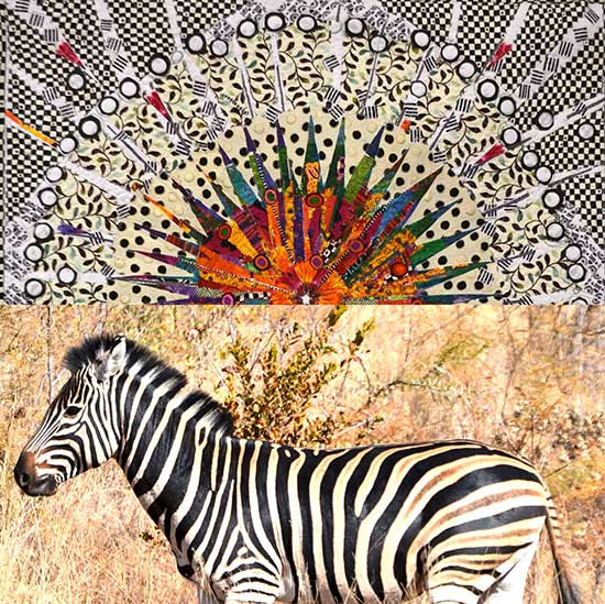 Zebra