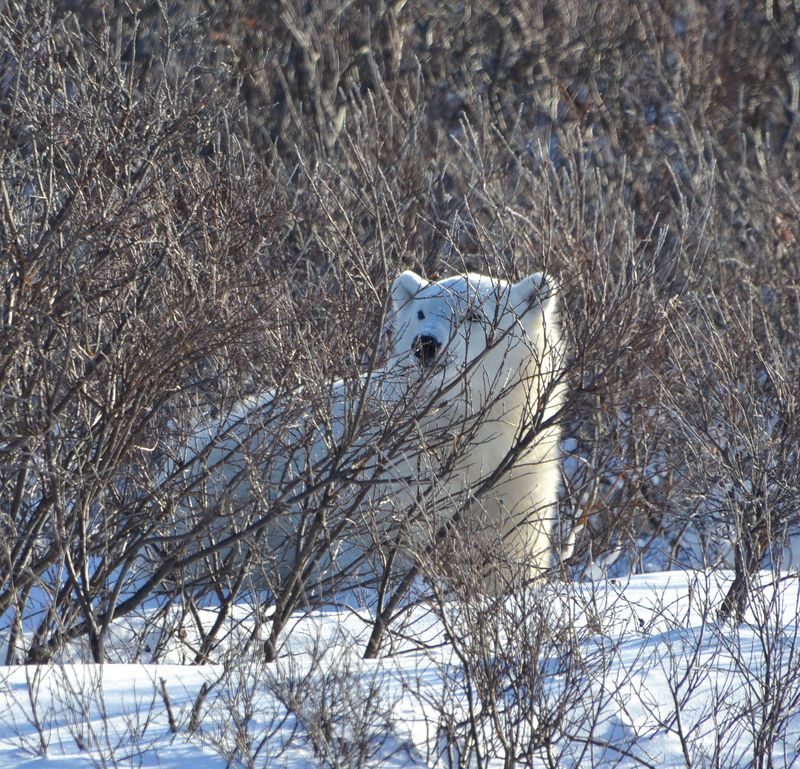 DSC_2125 DSC_2125