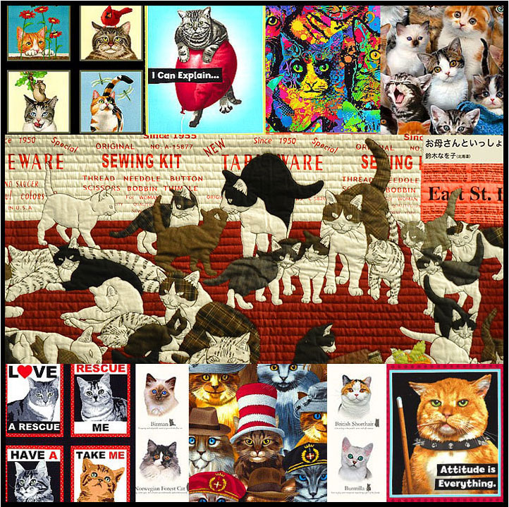 Cats