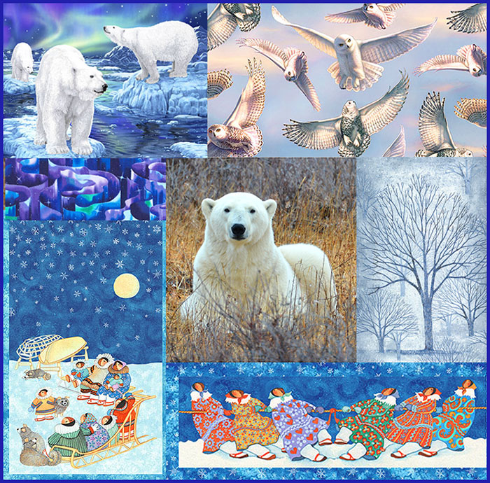 BearInTheGrass_700