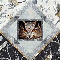 QPHOSTLN