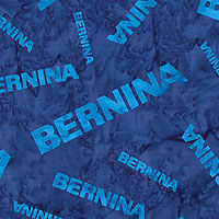 BERNI2NV