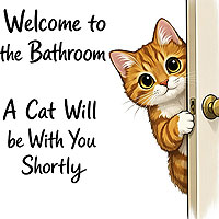 DTCAT3WH