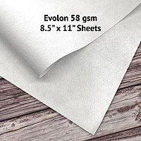 EVOL5811