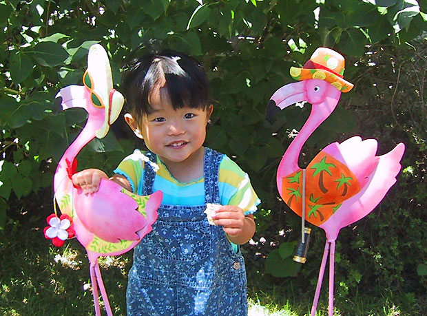 Sophie Flamingo